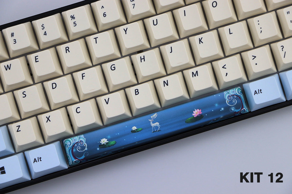 Matériel Pbt 6,25 U Cerise hors ligne Keycap teint avec barre d'espace