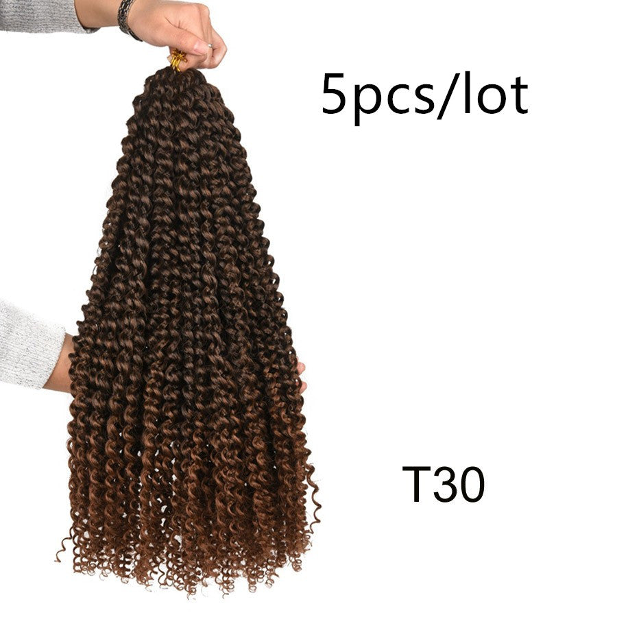 Passion Twist Crochet tresses printemps Twist extensions de cheveux