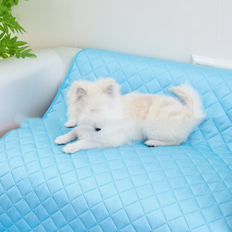 Matelot de chien d'été cool