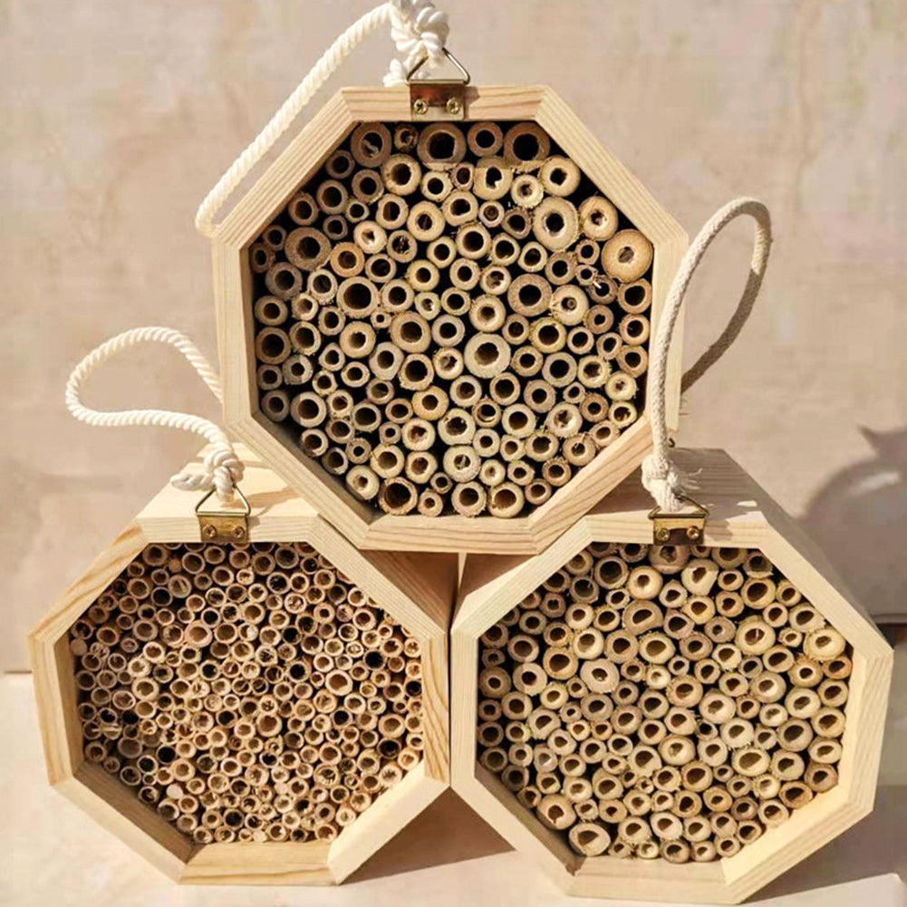 Boite de reproduction des abeilles en bois