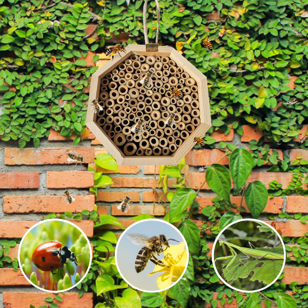Boite de reproduction des abeilles en bois