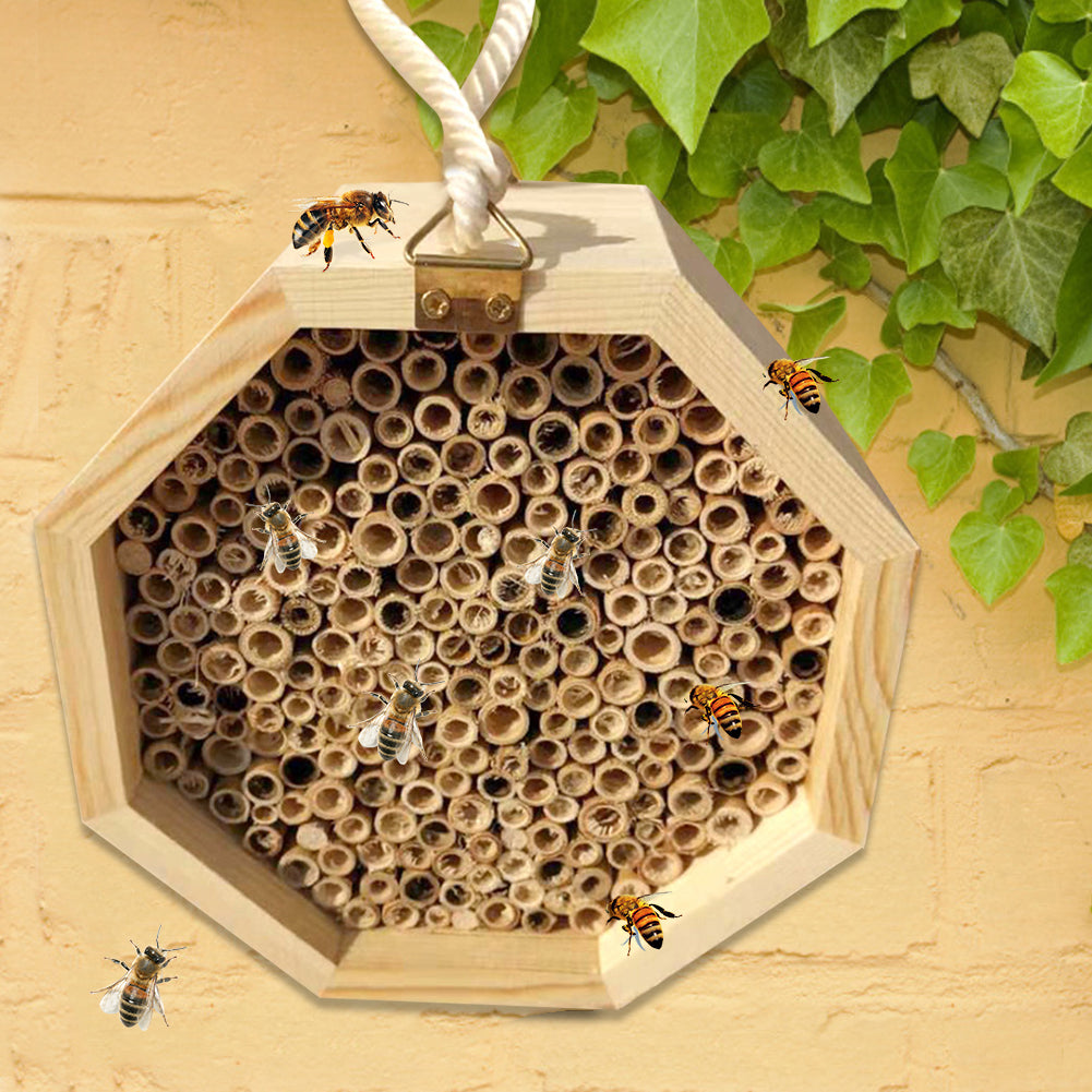 Boite de reproduction des abeilles en bois