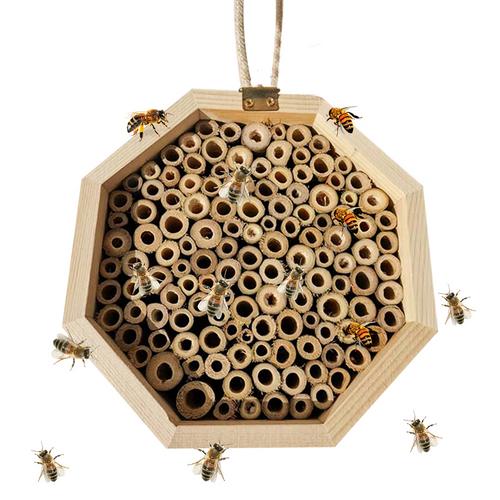 Boite de reproduction des abeilles en bois