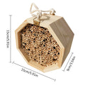 Boite de reproduction des abeilles en bois