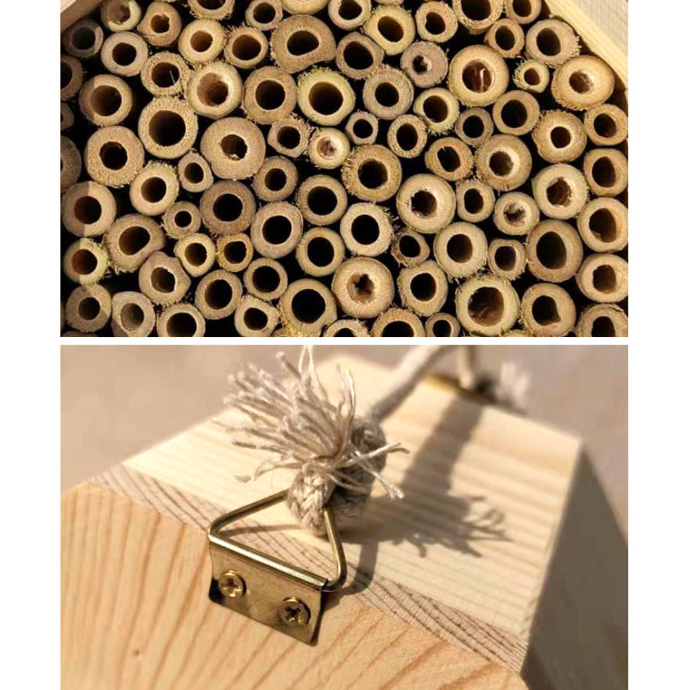 Boite de reproduction des abeilles en bois