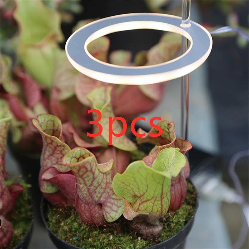 LED Grow Light Full Spectrum Phyto Grow Lampe USB Phyto Lampe pour plantes