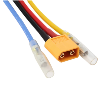 Utiliser un ESC brushed étanche à deux voies