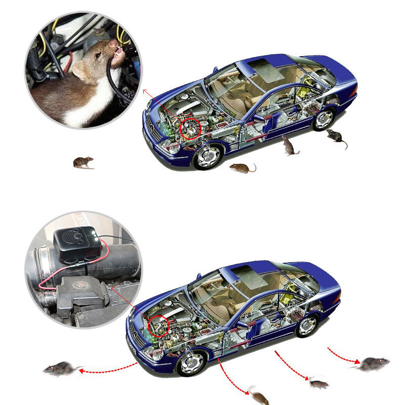Lampe de poche de rat à ultrasons d'animal repoussant Rodent Deterrent-Trap 12V avec véhicule LED