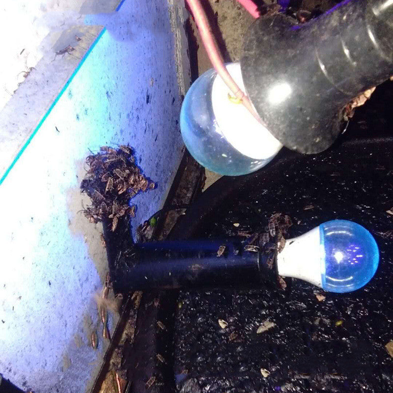 Lampe insecticide intérieure et extérieure améliorée