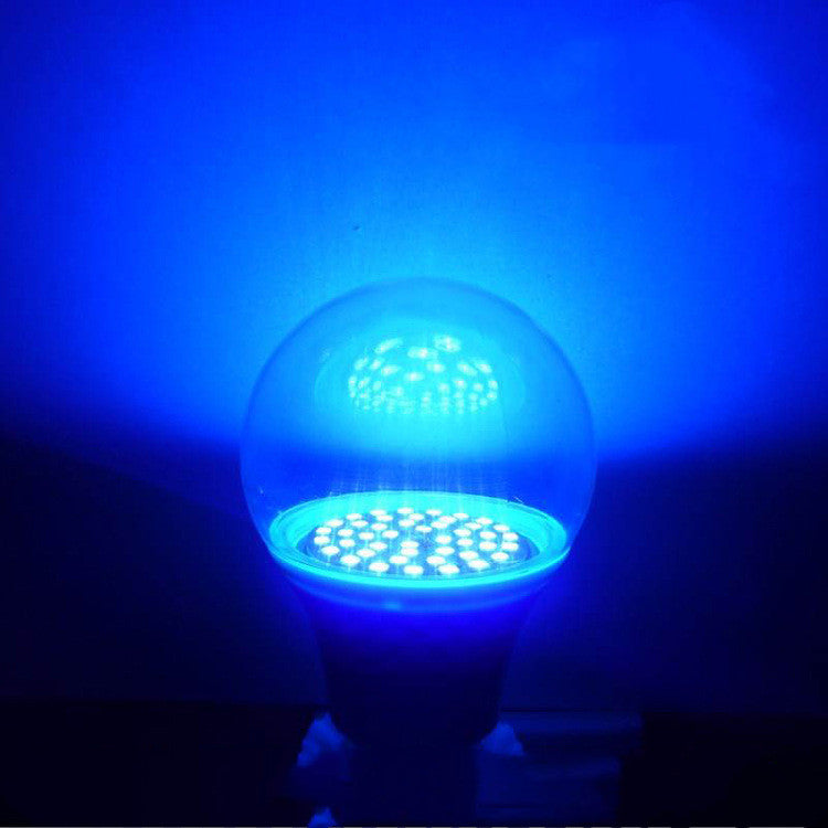 Lampe insecticide intérieure et extérieure améliorée