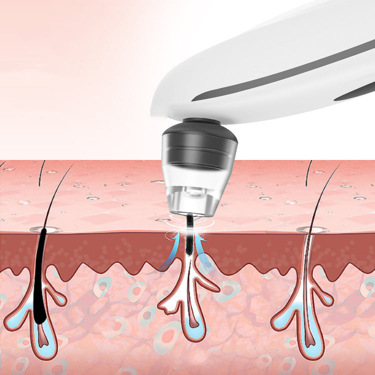 Absorbeur électrique à tête noire pour le ménage