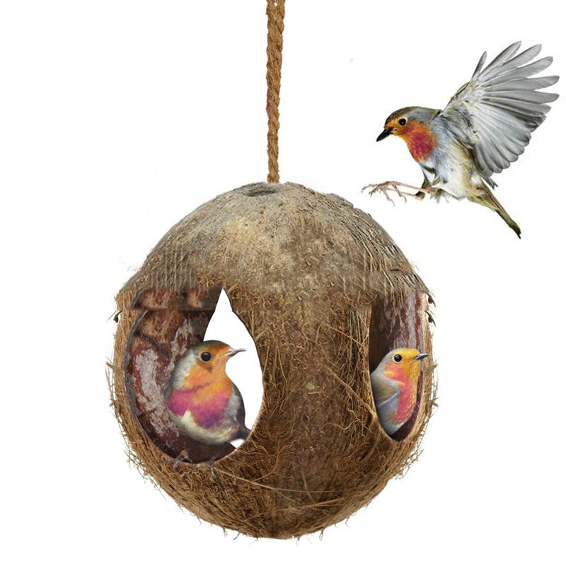 Noix de coco créative Shell Bird Nest Feeder