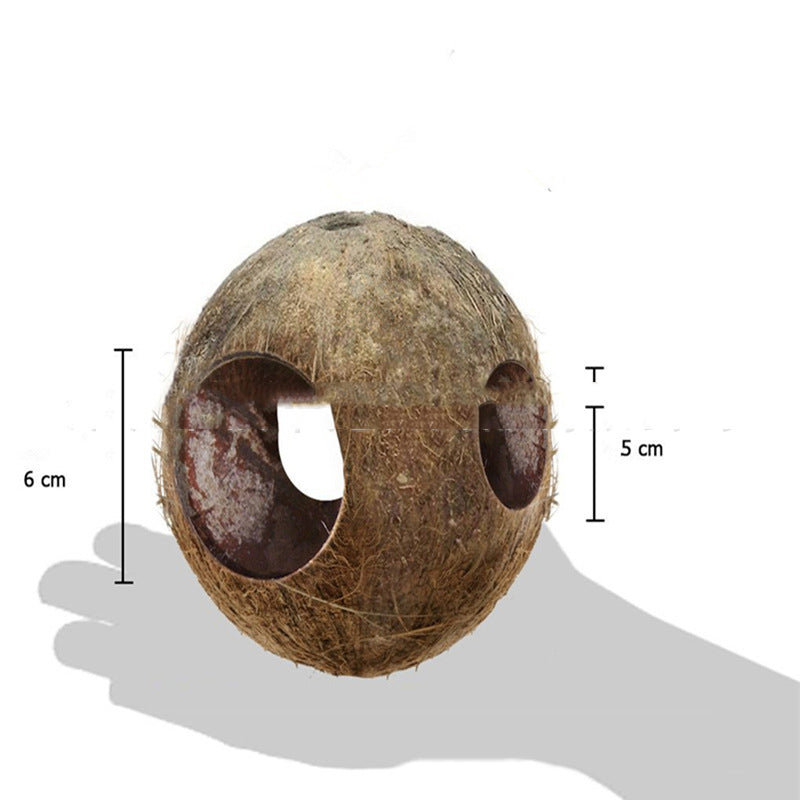 Noix de coco créative Shell Bird Nest Feeder
