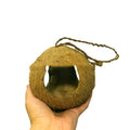 Noix de coco créative Shell Bird Nest Feeder
