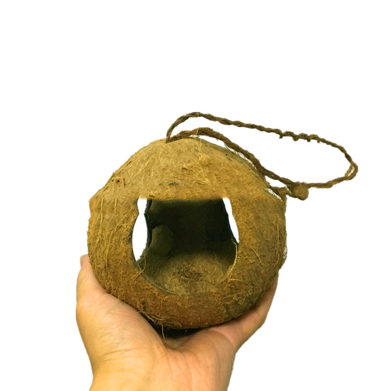 Noix de coco créative Shell Bird Nest Feeder
