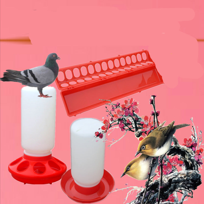 L'oiseau nourrit la bouteille d'eau au pigeon avec un arroseur