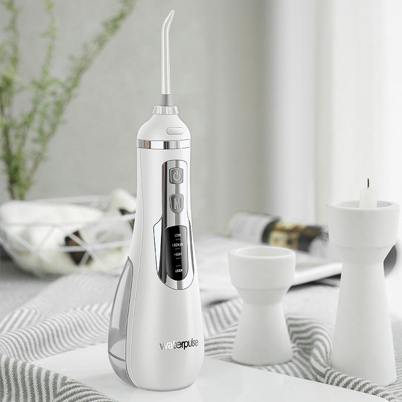 Flusher dentaire portable