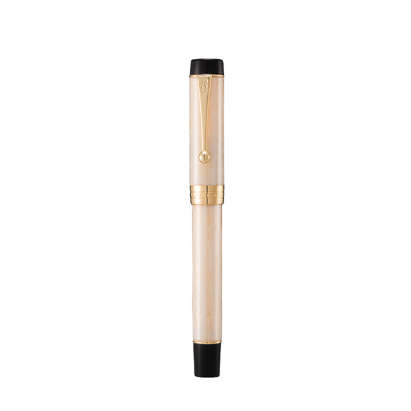 Tofu stylo de fontaine hommes et femmes spécial bureau d'affaires haut de gamme Iridium stylo cadeau stylo encre