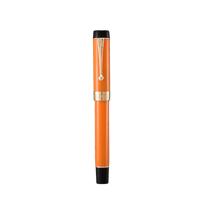 Tofu stylo de fontaine hommes et femmes spécial bureau d'affaires haut de gamme Iridium stylo cadeau stylo encre