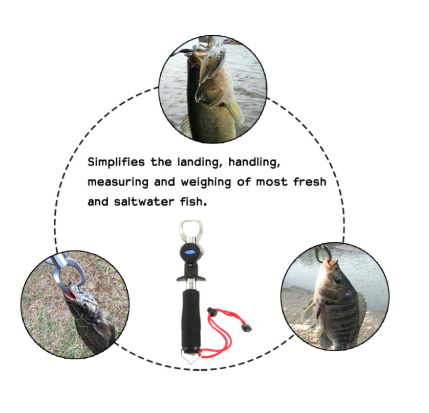 Contrôle du poisson Luya Acier inoxydable Tongs de poisson Double Buckle Contrôle Pinces de poisson Pêche Sup