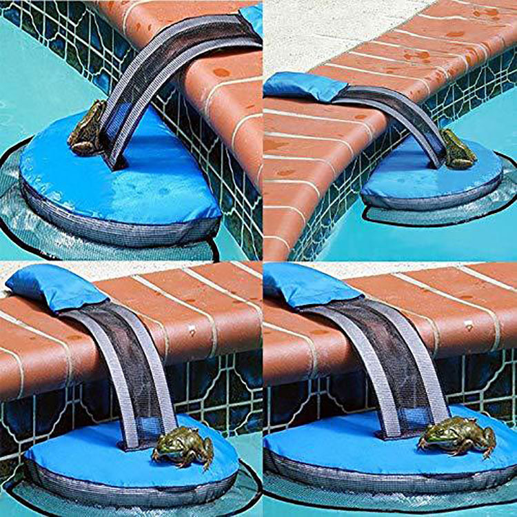 Piscine Petit animal Sauvetage Piscine Évasion des animaux Filet de grenouille