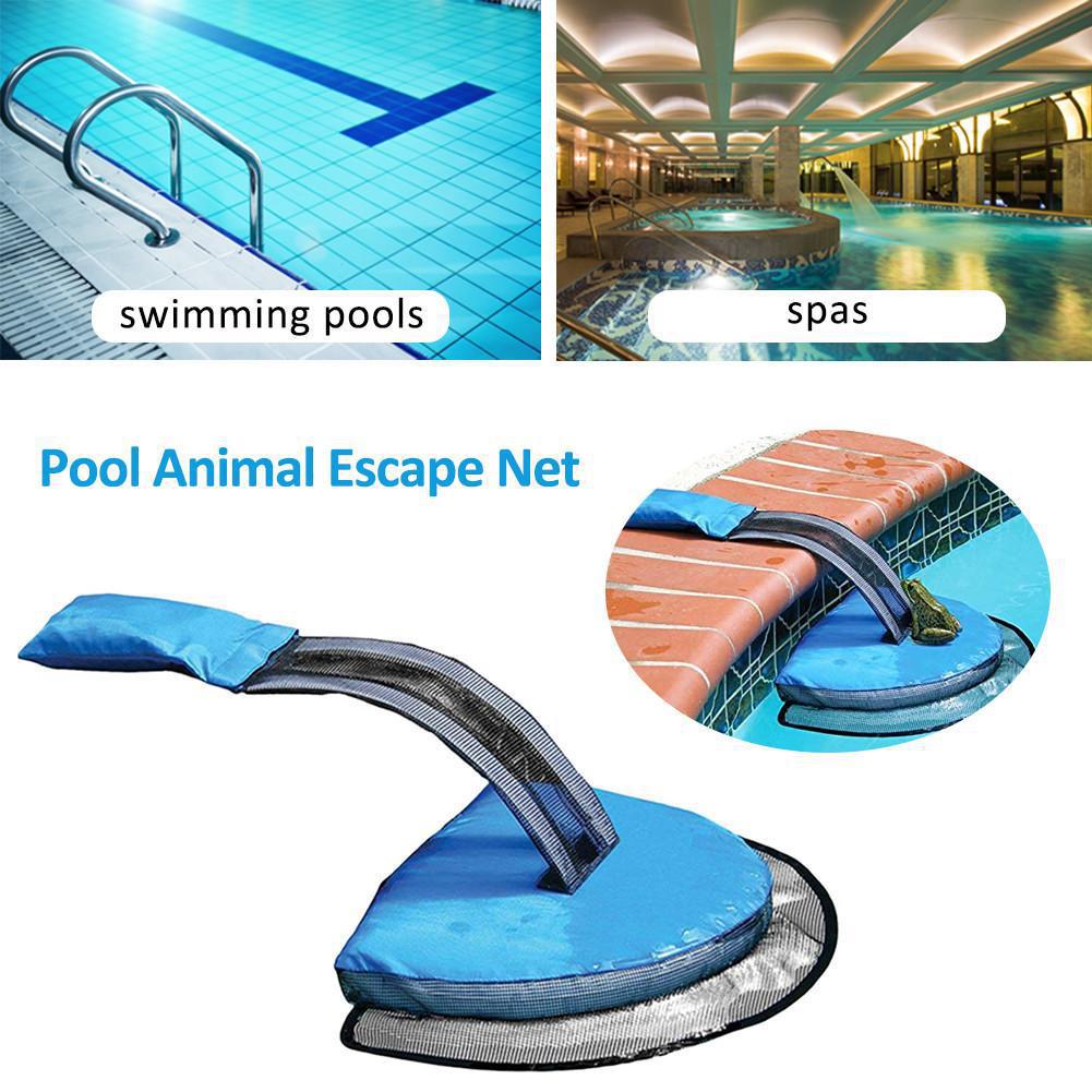 Piscine Petit animal Sauvetage Piscine Évasion des animaux Filet de grenouille