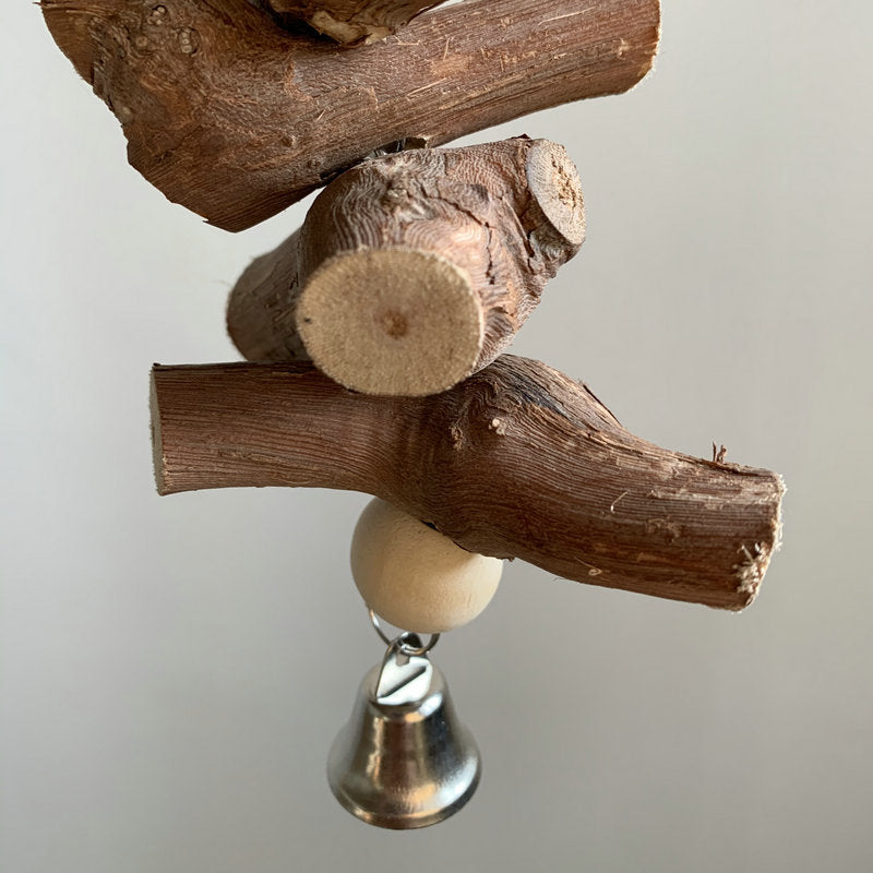 Parrot Vine Molar en bois massif avec cloche
