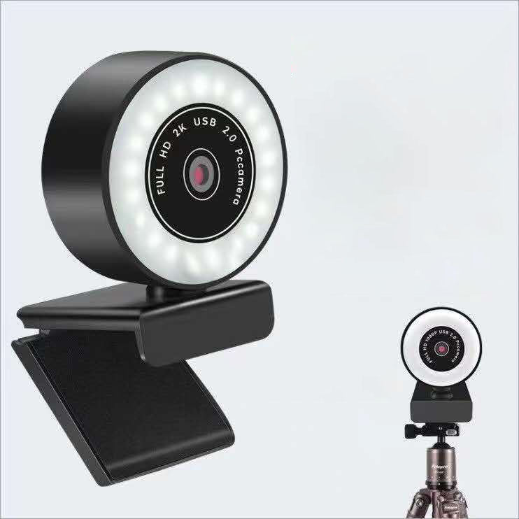 Caméra de réseau d'ordinateur haute définition avec la lumière de remplissage Usb