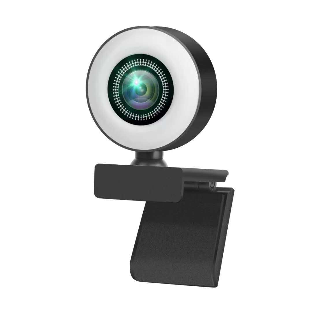 Caméra de réseau d'ordinateur haute définition avec la lumière de remplissage Usb