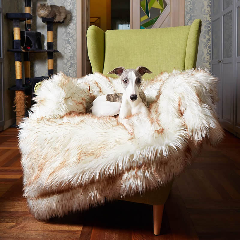 Lit de chien Machine lavable et imperméable Couch Bed