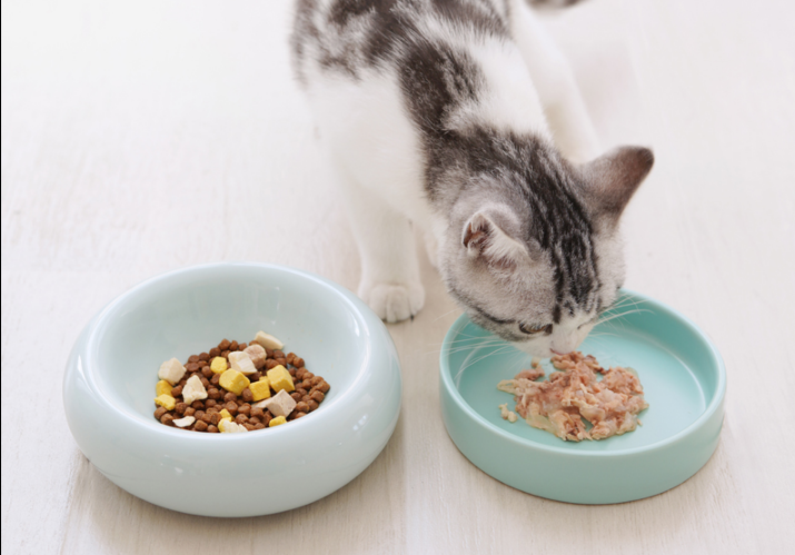 Mochi Ceramic Short-leg Cat Bowl