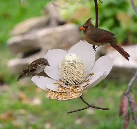 Nourriture d'oiseaux en forme de pétale de jardin