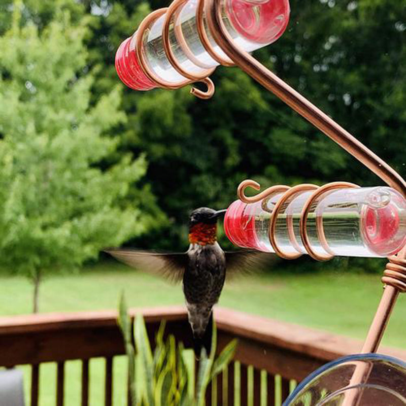 Garden Bird Feeder fournit Cummingbird Feeder Buyer Suction Cup Facile à nettoyer Deck Gard