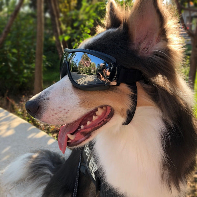 Lunettes de soleil pour chiens Lunettes de soleil pour chiens Droit Lutter contre les fournitures Lunettes de soleil pour chats étranges