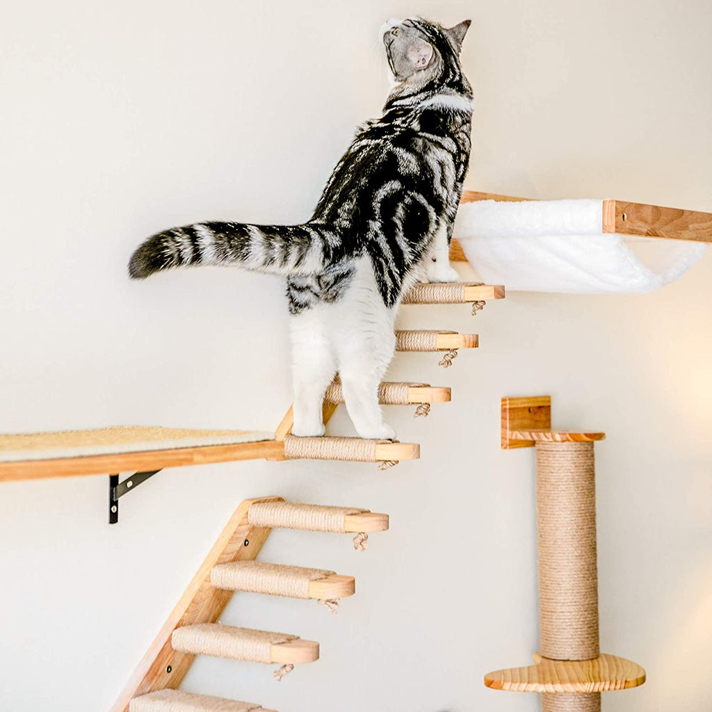 Chat mur suspendu en bois d'échelle Pine Springboard Stairs Cat Toy Multi-couche