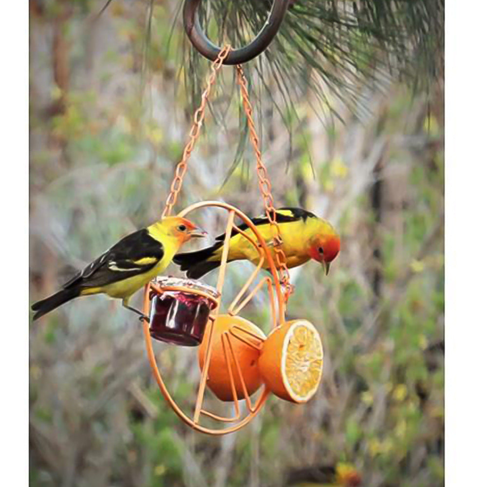 L'alimentation des oiseaux en plein air et l'alimentation en eau