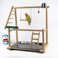 Bird Stand Desktop Training Cockatiel Playground Bird Toy Swing Climbing Ladder Bird