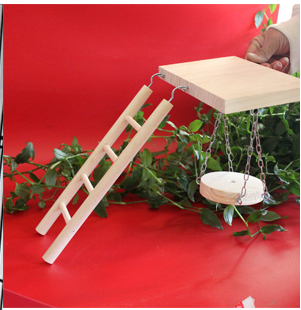 Pivoine de la peau de tigre Xuan Petit soleil Monk Gnaws and Relies Boredom Swing Ladder Springboard