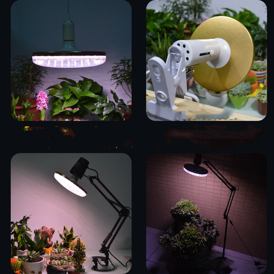 Plein spectre Lumière de croissance végétale