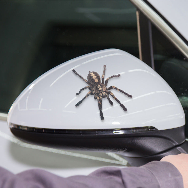 Stickers Voiture 3D Spider Gecko