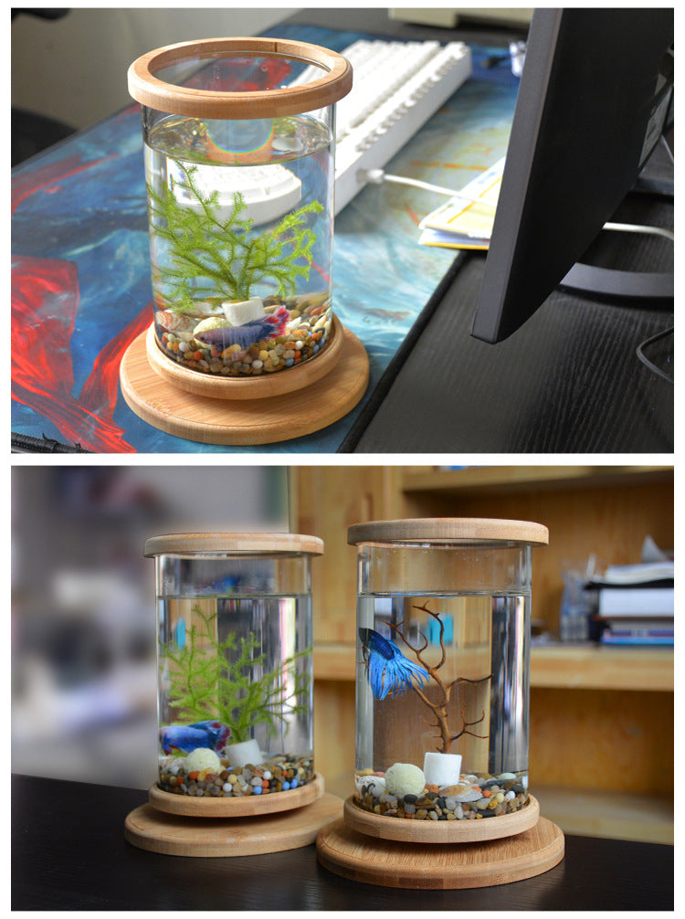 Petit verre de bureau Aquarium Bamboo Base Mini Fish Tank Décoration Fish Bowl
