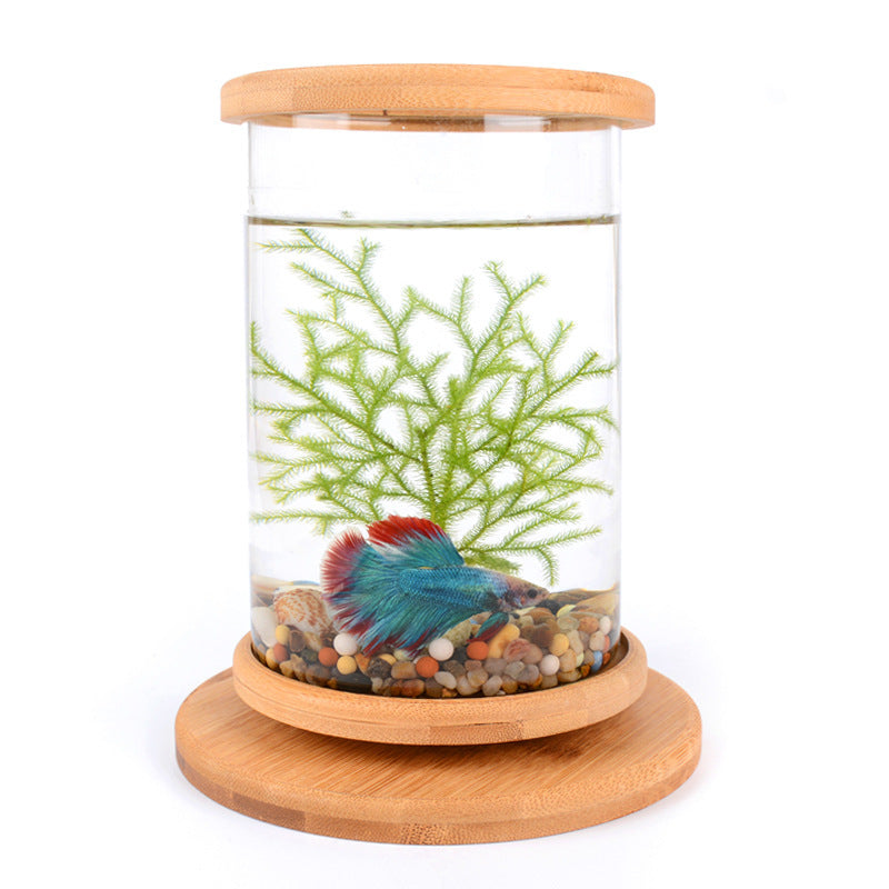Petit verre de bureau Aquarium Bamboo Base Mini Fish Tank Décoration Fish Bowl