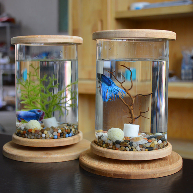Petit verre de bureau Aquarium Bamboo Base Mini Fish Tank Décoration Fish Bowl