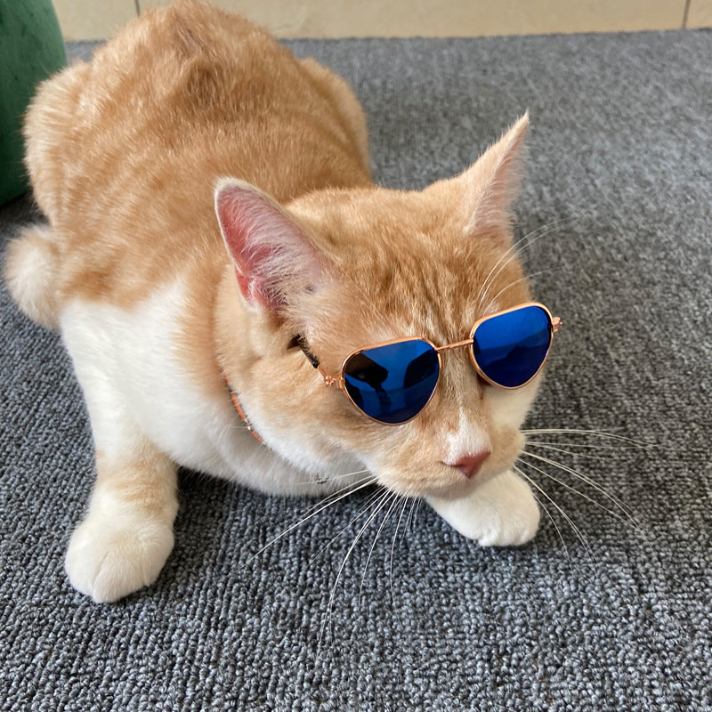 Lunettes de soleil pour mini chat de mode créative