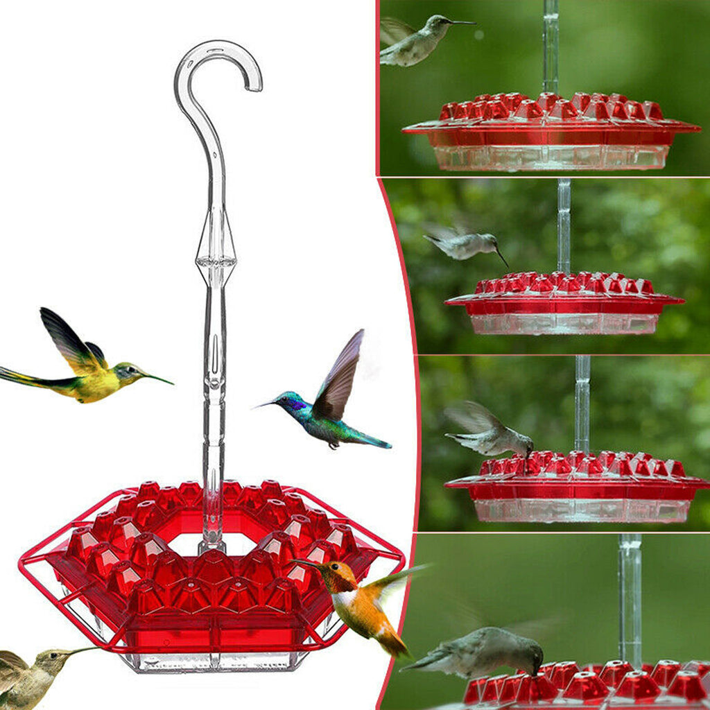 Flower Hexagonal Bird Feeder Sensation Coneflower Bird Feeder