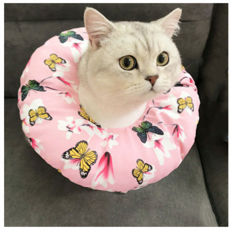 Stérilisation imperméable pour animaux de compagnie