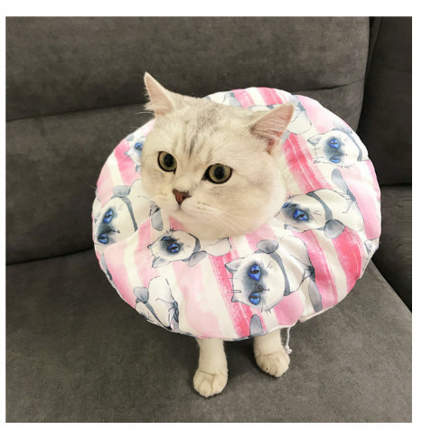 Stérilisation imperméable pour animaux de compagnie