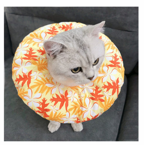 Stérilisation imperméable pour animaux de compagnie