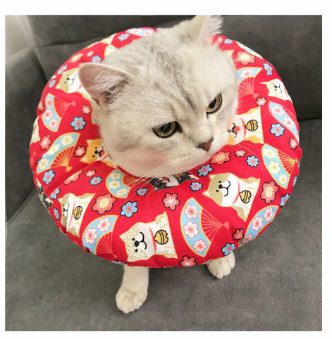 Stérilisation imperméable pour animaux de compagnie