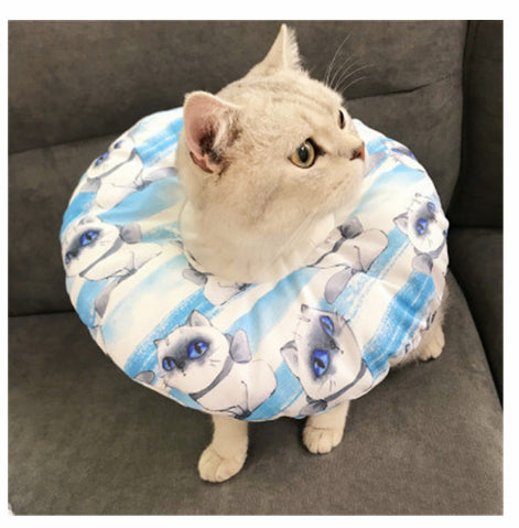 Stérilisation imperméable pour animaux de compagnie